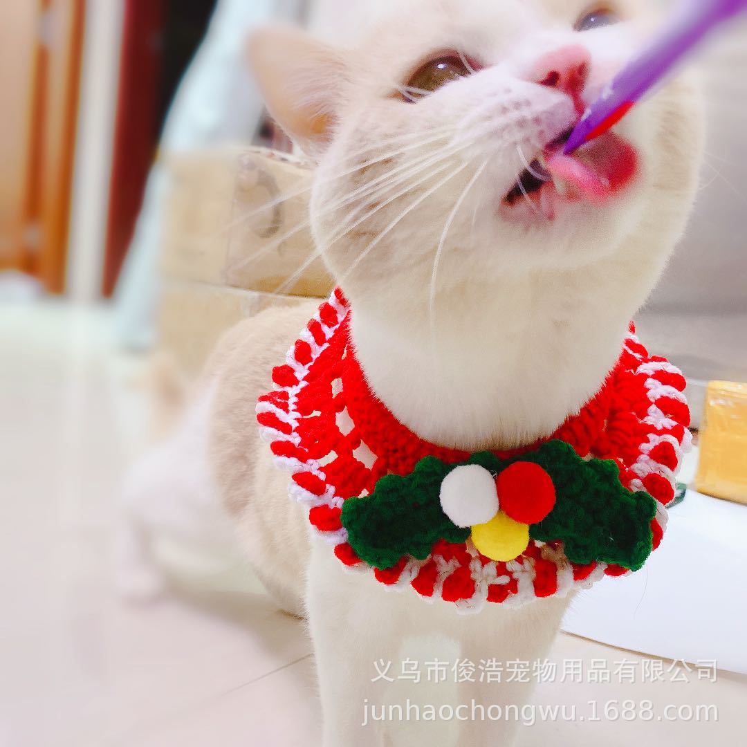 크리스마스 잎 빨간색