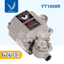 YT-1000R г늚yTλ Cе nRotork/̩YTC