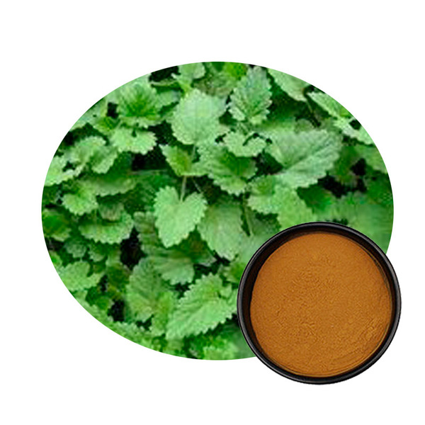 Nepeta extract 10: 1 Specification Jellin (flavonoids of flavonoids