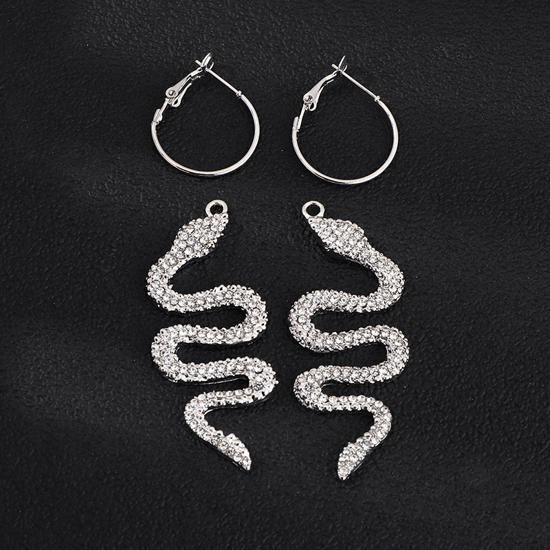 Fashion Jewelry Exaggerated Fashion Metal Diamond Snake Element Earrings Personality Wild Metal Earrings Wholesale Nihaojewelry display picture 13