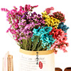 Dry flower wholesale naturally do not forget the self -discipline, Dry Valentine's Day Gifts, Home Resident Flower Architecture Factory Direct Sales