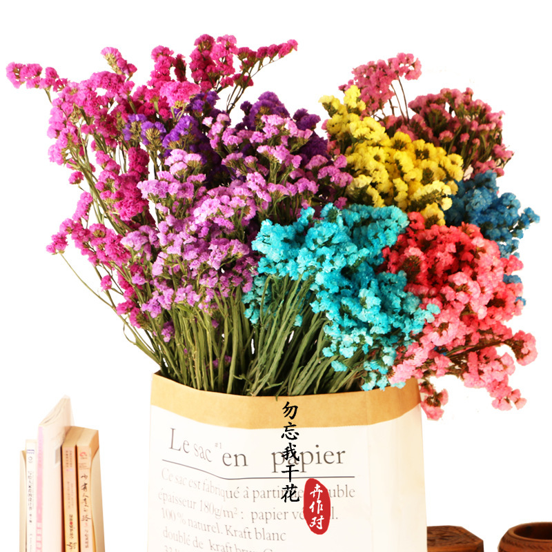 Dried Flower Wholesale natural forget-me-not dried bouquet Valentine's Day gift home B & B decoration flower arrangement factory direct sales