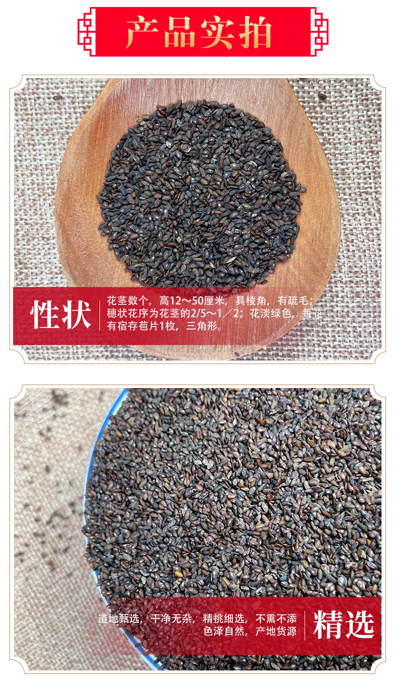 Plantago Seed Che Qian Zi Dried Whole Seeds 500g for Culinary and Traditional Herbal Use quality and texture