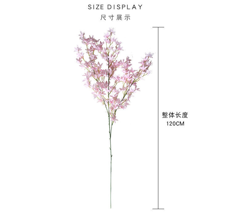 微信图片_202002271939061