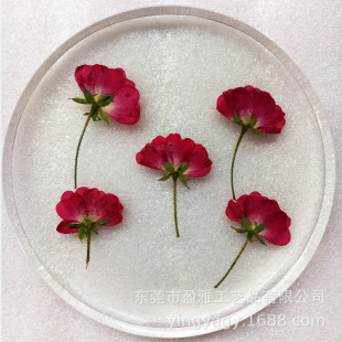 ��͸����֬����ɻ��˱�����ˮ���z��Ƕ�ɻ���ˇƷ�������ɻ����