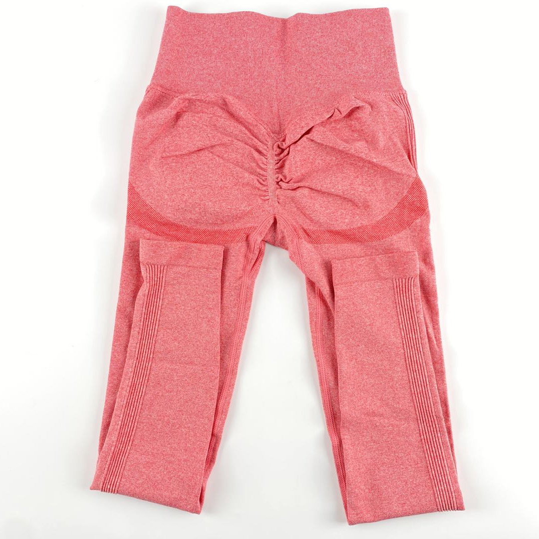 Seamless Knitted Moisture Wicking Yoga Pants NSLX8986