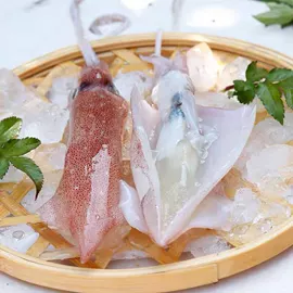 其他水产加工;鱼类;软体类