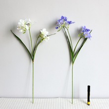 ٻb[ɲ3DѩޥmcҾӲ廨仨ƿ~|m