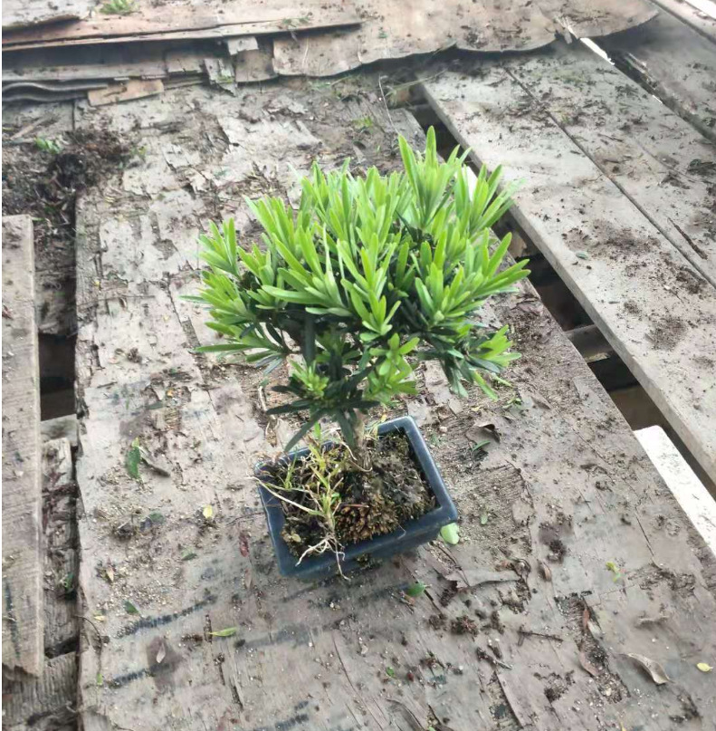 微信图片_20200511162426