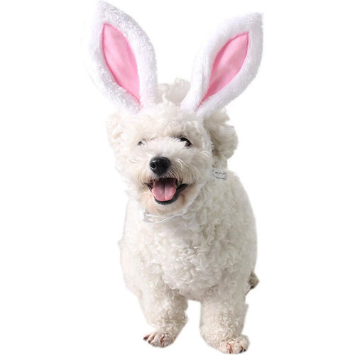 Chibi Pet Dog and Cat Cute Head Accessories for Christmas Birthday Party Bunny Ear Head Flowers