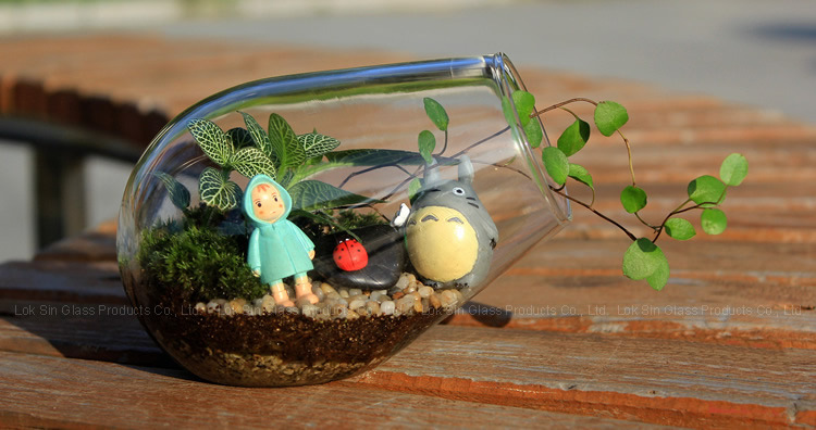 Micro paisaje ecológico botella creativa botella de musgo paisajismo botella de vidrio suculento florero