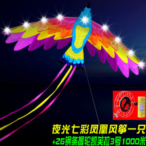 潍坊风筝 新款夜光LED风筝 七彩凤凰风筝 成人儿童大型风筝 线轮