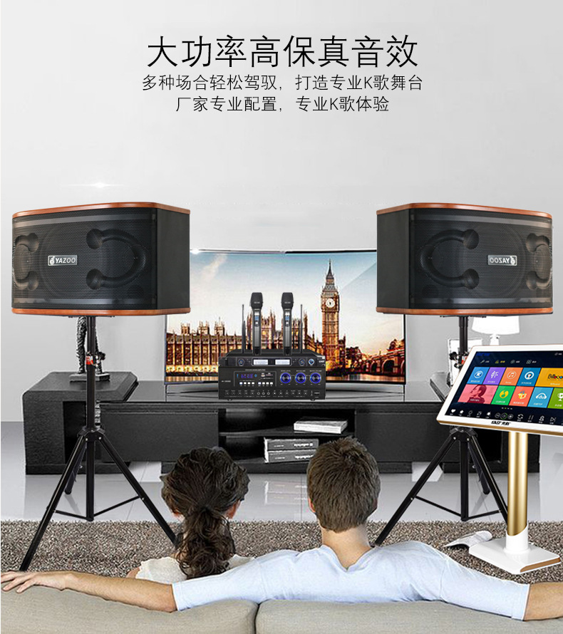 Venta al por mayor personalizado familia KTV profesional audio traje hogar karaoke Conferencia conjunto completo 10 pulgadas titular de la tarjeta altavoz