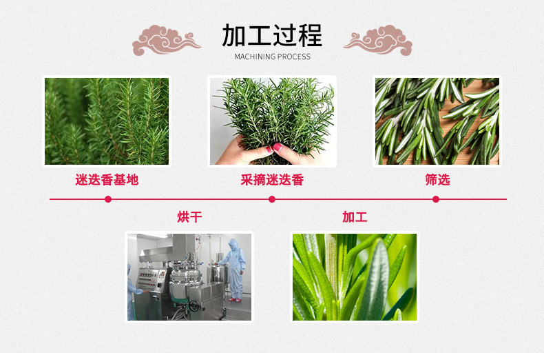 Rosemary Herbal Tea Loose Dried Leaves 500g Fresh Batch Clean Aromatic Culinary and Brewing Herb in use
