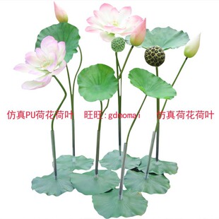 蓮葉圖片 海量高清蓮葉圖片大全 阿里巴巴