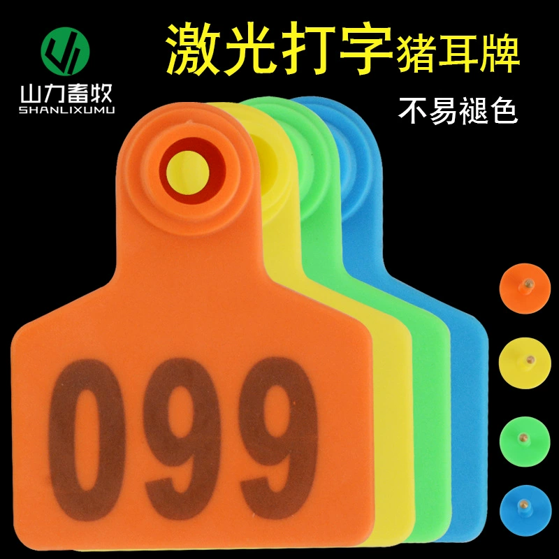 JF знак уха свиньи со словом знак уха свиньи набрав знак уха со словом уха номер знака уха знак уха свиньи уха