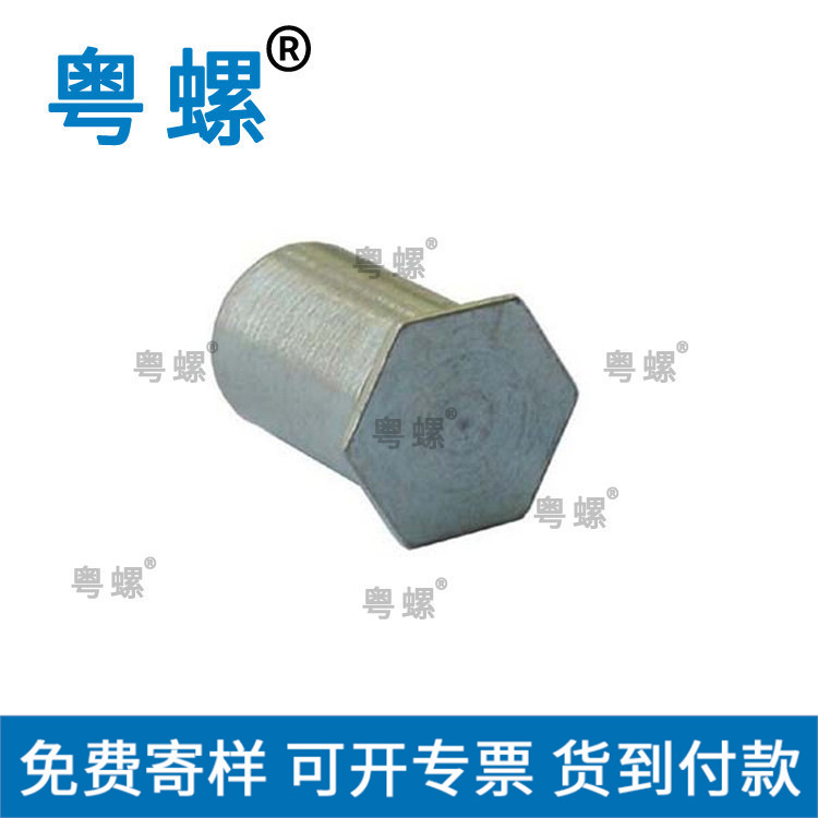  厂家供应实心半空心全空不锈钢六角空心铆钉过孔铆钉
