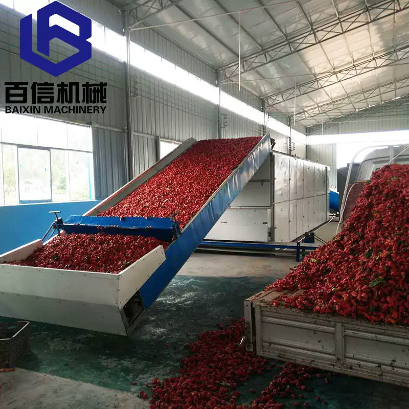 辣椒烘干机 辣椒多层带式烘干机 百信机械网带式辣椒烘干设备