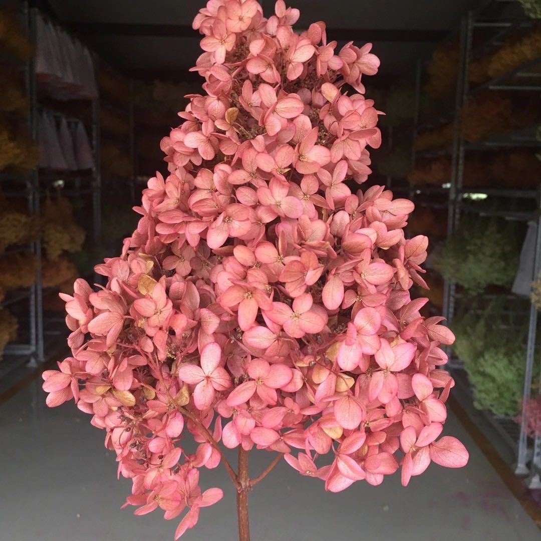 微信图片_20201018153232