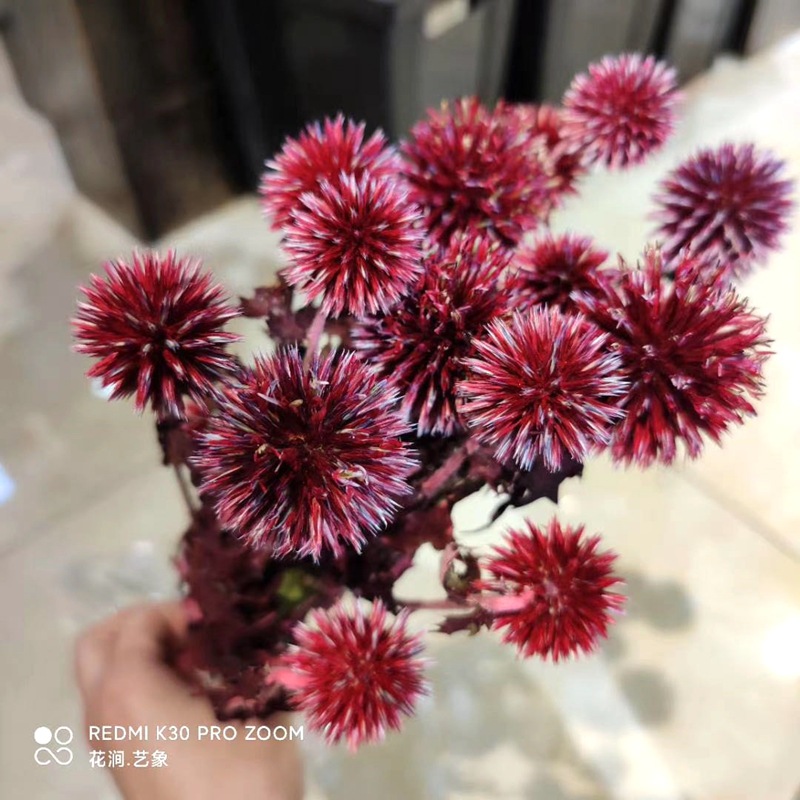 微信图片_20200717232148