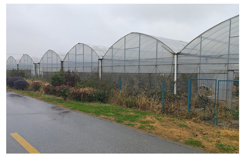 详情页-连体温室大棚_08