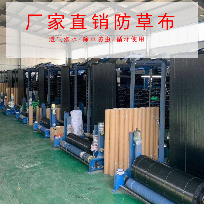 厂家直供防草布园艺地布多功能除草布全新pe防草渗水农用果园地布|ms
