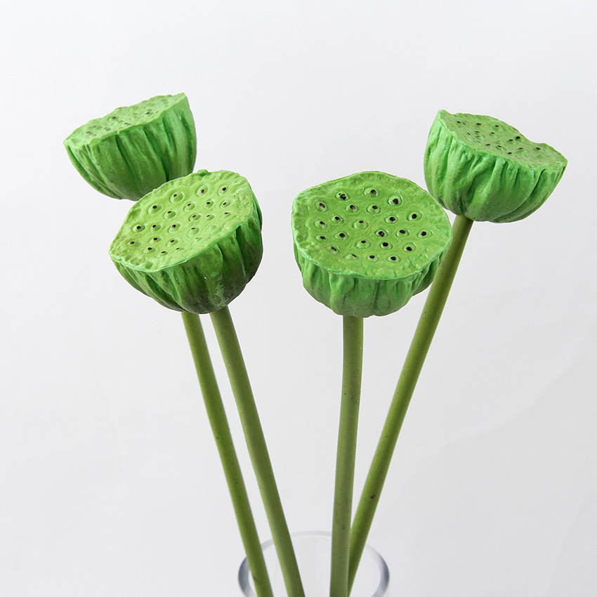 单支莲蓬中 1.jpg