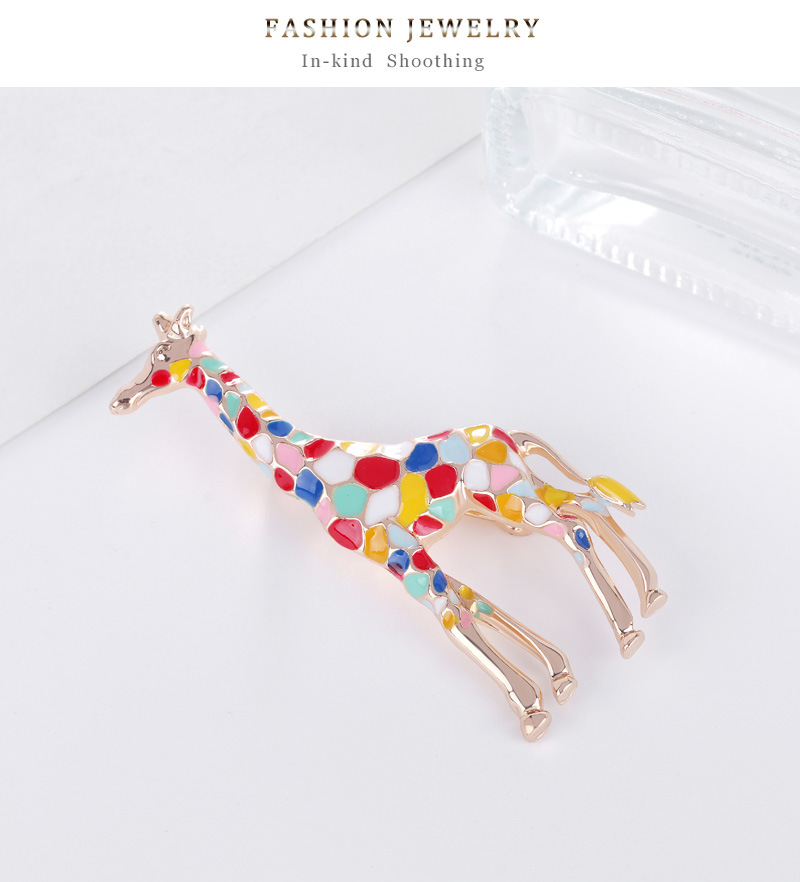 Fashion Animal Alloy Stoving Varnish No Inlaid Unisex Brooches display picture 8
