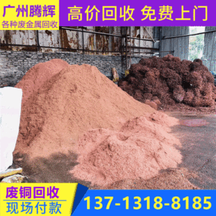 �U�~���ՏS�� �U�S�~ɳ���� ���ՏU�S�~����