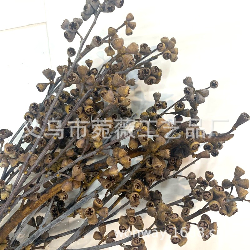 微信图片_20200427133432