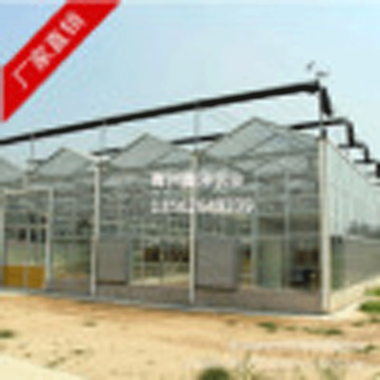 文络式玻璃温室大棚 玻璃温室 玻璃大棚 玻璃温室厂家 大棚骨架