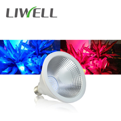 全光谱防水草莓补光灯 红蓝照明灯 简约 可定制配比 通用螺口设计|ms