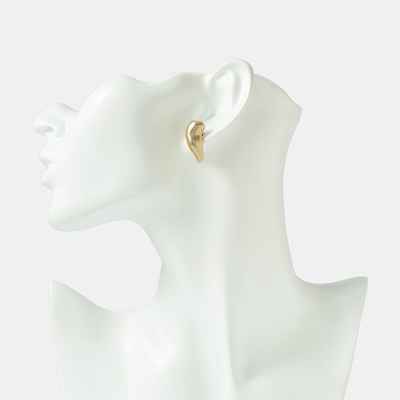 New Popular Brass Matte Earrings Geometric Irregular S925 Silver Earrings For Women display picture 4