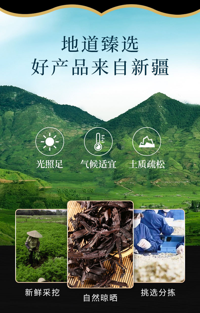 Zi Cao Root & Zi Cao Rong (Lithospermum erythrorhizon / Arnebia euchroma) — Dried Chinese Herb, Xinjiang Soft Purple Herb overview