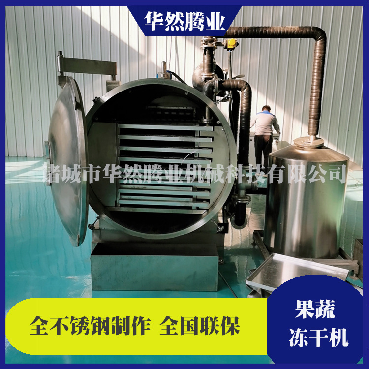 200平水果蔬菜冷冻干燥机 中药材冻干设备 猕猴桃草莓真空冻干机