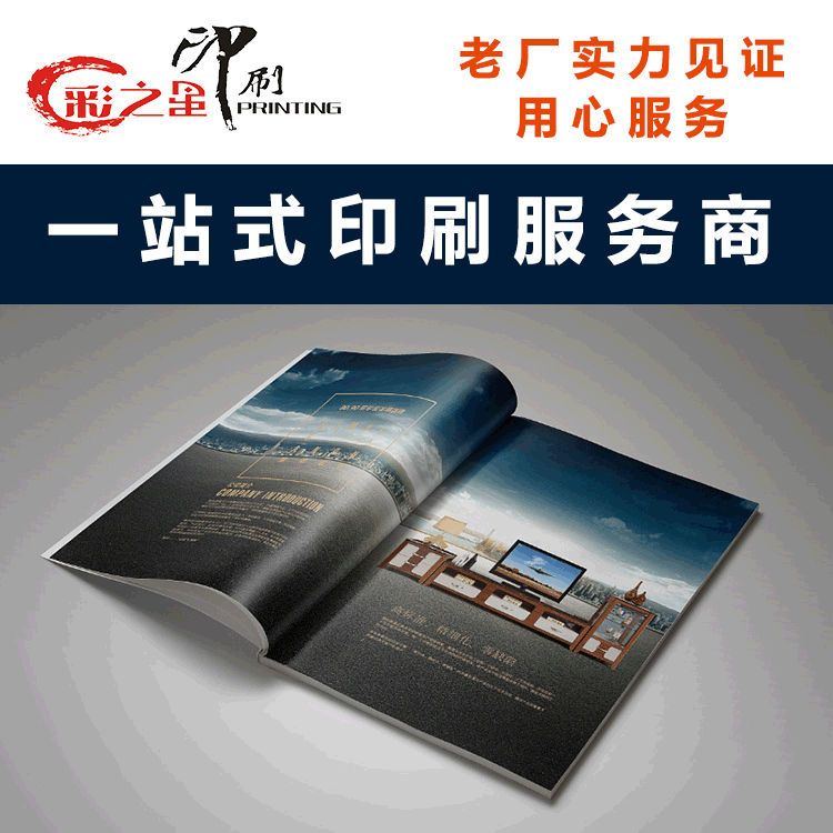 公司宣传册印刷画册设计儿童画册定制公司企业精装宣传画册印刷|ru