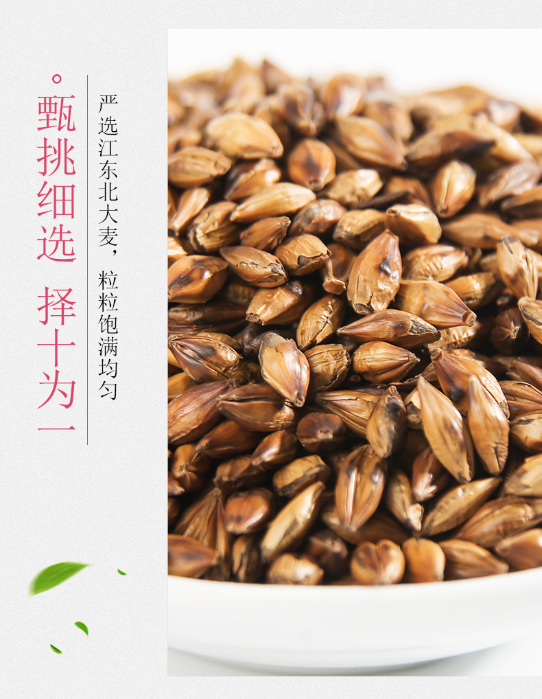 Roasted Barley Tea Da Mai Cha Loose Herbal Grain Tea 500g Bulk Pack for Hot or Cold Brewing in use