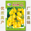 Huangyang Pear Tomato Seed Yellow Cherry Tomato Seed Little Tomato Seeds Pear -shaped Virgin Fruit Seeds wholesale