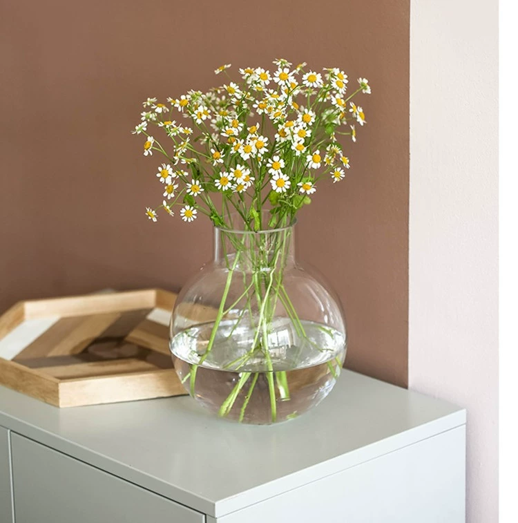 Креативная стеклянная прозрачная ваза Сферический современный обеденный стол Гостиная Поднимающая воду Растягивание цветов Gympani Цветок Украшение дома