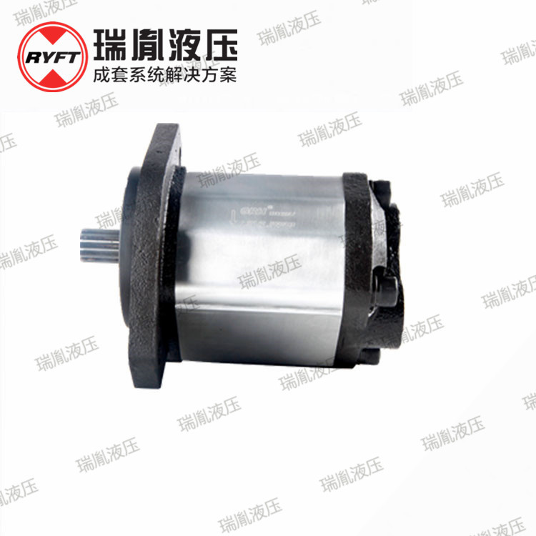 瑞胤直供 高性能稳定低噪音 液压外啮合齿轮泵 高压齿轮油泵
