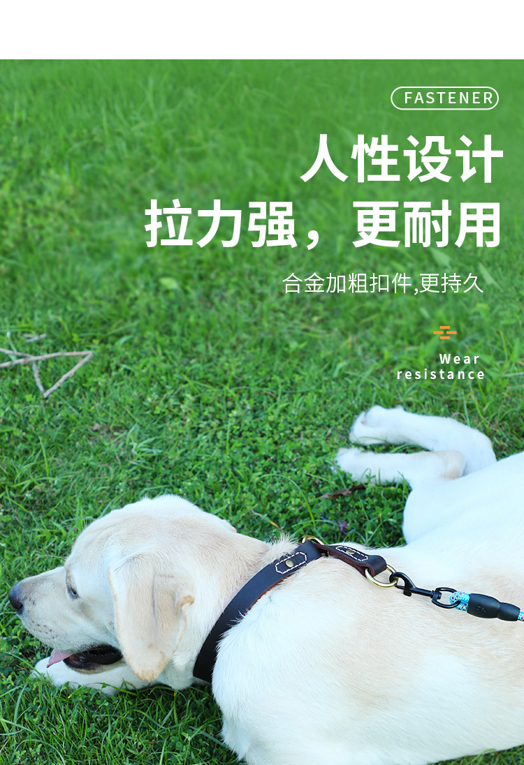 狗绳详情页_06.jpg