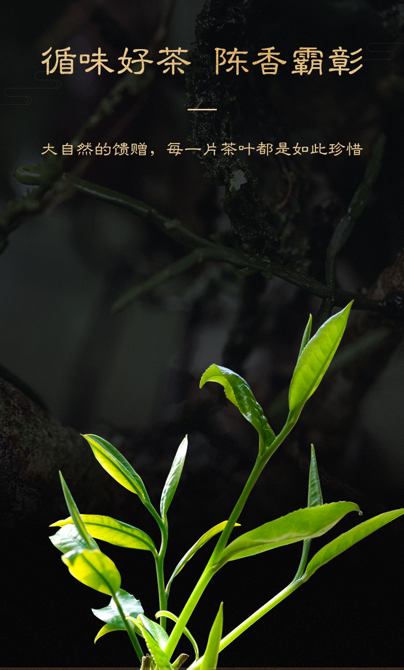 醇韵_详情页_04.jpg