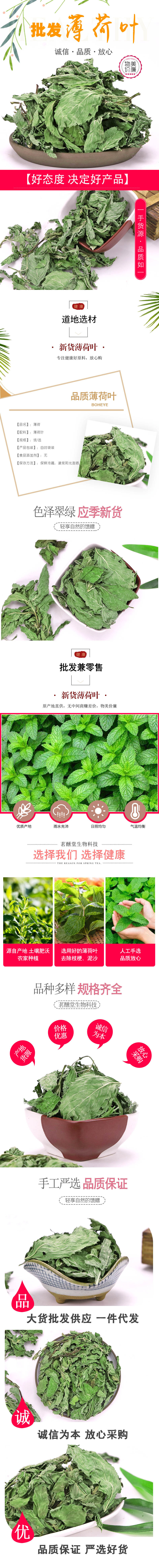 Mint Leaves (Mentha haplocalyx) — Dried Food-Herb Loose Leaf for Mint Tea & Daily Brewing overview