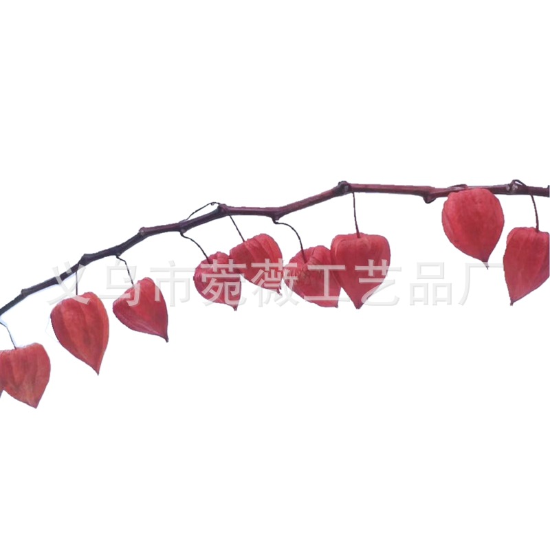 微信图片_20200422224015