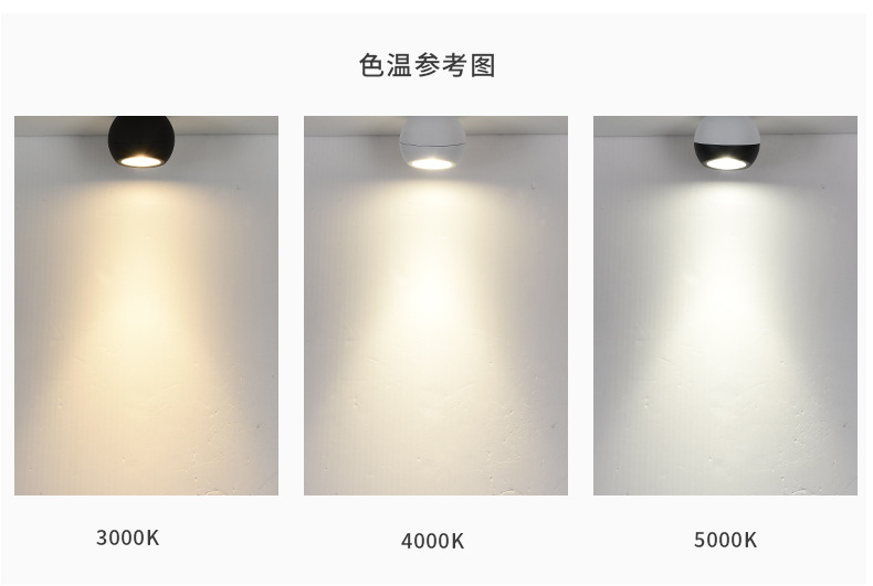 苹果球形明装轨道射灯209