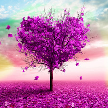 ��ó���� ��ʯ��DIY5d������������� ����ֱ�����д��� �羳����