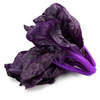 Purple spinach seeds Purple spinach seeds spinach spinach vegetable seeds wholesale vegetable seed seed seed seed company four seasons sowing