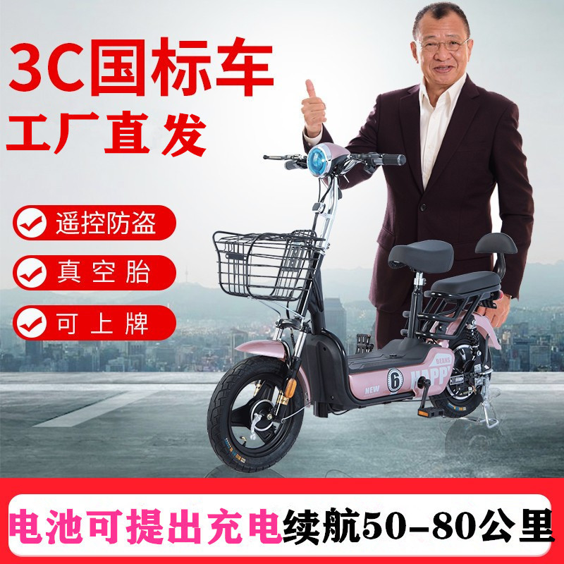 新国标二代欢乐豆款48v电动车成双人电瓶车电动自行车两轮电动车