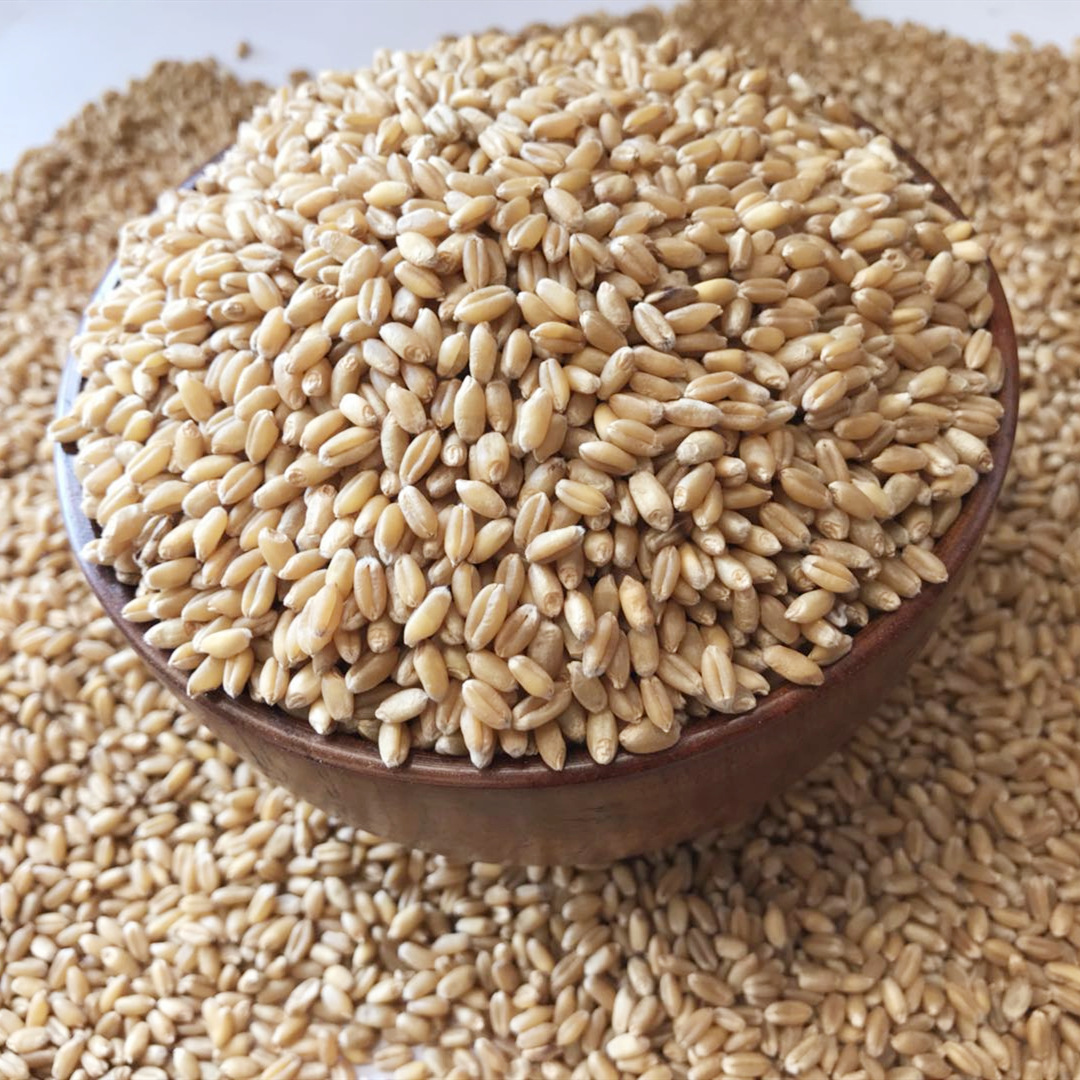 微信图片_202004172204181