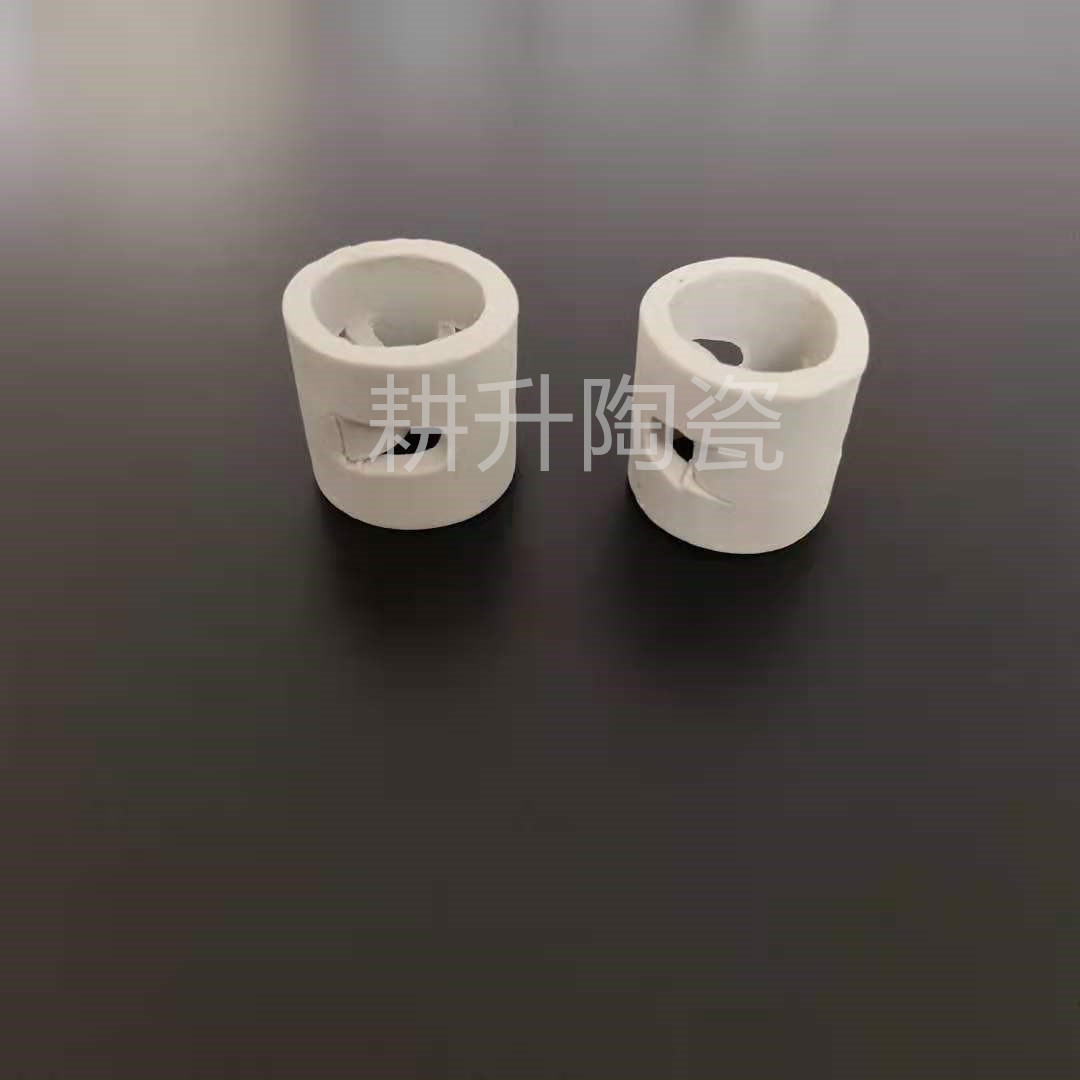 厂家供应鲍耳环填料 优质陶瓷鲍尔环填料 (规格25，38，50，80等)